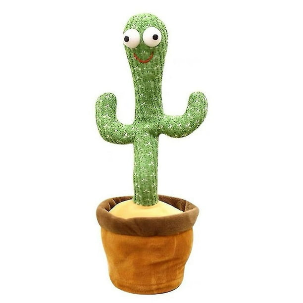 Cactus Bailarín